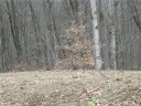 63 Drakes Way sold home in Waynesville, SC