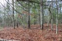 41 Wild Deer Trail sold home in Zirconia, SC