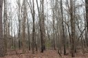 000 Carroll Street 105 106 sold home in Monroe, SC