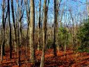 733 Slick Rock Road 1-A sold home in Brevard, SC