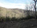 1443 Old Mill Road sold home in Hendersonville, SC