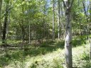 Lot 7 Pisgah Forest Drive sold home in Pisgah Forest, SC