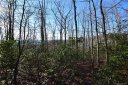 Tbd Fox Lane 15 sold home in Brevard, SC