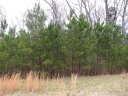 418 Ibis Lane sold home in Clover, SC