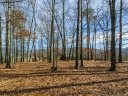 54 Bradford Vista sold home in Fletcher, SC