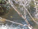 Lot 5 Abby Falls Drive sold home in Rosman, SC