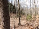 Tbd Lot 07 Hunting Lodge Drive sold home in Black Mountain, SC