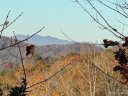 10 Clear Fork Lane 530 sold home in Fairview, SC