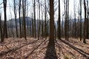 48 Timbercliff Trail 10 sold home in Black Mountain, SC