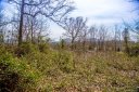 20 Lawson Ridge sold home in Leicester, SC