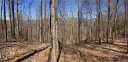 160 Wildflower Cove Drive 13 sold home in Swannanoa, SC