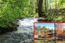 382 Westridge Drive sold home in Lake Lure, SC
