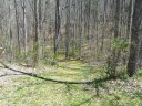 41 Rambling Ridge Road 6 sold home in Asheville, SC