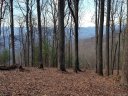 Tbd Rambling Ridge Road sold home in Asheville, SC