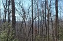 Chc Reserve Road chc sold home in Pisgah Forest, SC