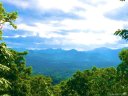 8 Waxwing Lane sold home in Asheville, SC