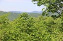 0 Winter View Trail 4 sold home in Hendersonville, SC