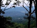 110 Rambling Ridge Road sold home in Asheville, SC