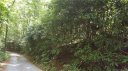 0 Willow Lake Drive 25 sold home in Hendersonville, SC
