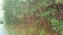 0 Willow Lake Drive 26 sold home in Hendersonville, SC