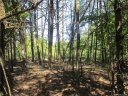 9999 Cottage Park Road 3 sold home in Morganton, SC