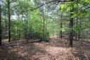 Lot 14 E Mcowenben Pass Road sold home in Lake Lure, SC