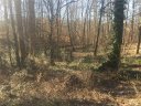 1854 Quailwood Drive sold home in Fort Mill, SC