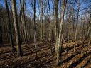 Lot 56 Comanche Trail sold home in Waynesville, SC