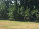 000 Colton Street 9 sold home in Oakboro, SC