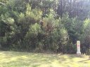 000 Jaida Lane 18 sold home in Oakboro, SC