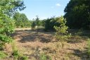 1071 Reba Lane sold home in Kannapolis, SC