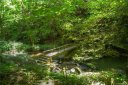 6 Woodfen Road Lot 6 sold home in Lake Lure, SC