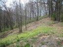 15 R Silent Forest Drive sold home in Canton, SC