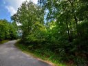 303 Allen Mountain Drive sold home in Black Mountain, SC