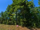 Tbd Nader Avenue 5 sold home in Weaverville, SC