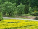 00 Appaloosa Trail sold home in Waynesville, SC
