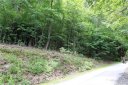 Tbd Wildflower Cove Drive 12 sold home in Swannanoa, SC