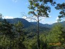 Lot 17 Fox Ridge sold home in Marion, SC
