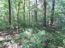 132 Overlook Park Drive sold home in Hendersonville, SC