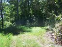 Lot 24 Running Deer Lane sold home in Mars Hill, SC