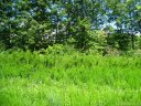 Lot 85 Big Oak Ridge sold home in Lake Lure, SC