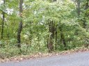 Lot 94 Laurel Ridge sold home in Marshall, SC