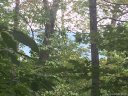 126 Majestic Ridge Drive sold home in Hendersonville, SC