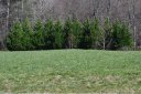343 Old Gait Drive 7 sold home in Hendersonville, SC
