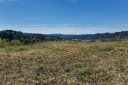 80 Park Avenue sold home in Asheville, SC