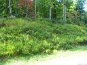 Lot 318 Rolling Ridge Trail 318 2B sold home in Lake Lure, SC