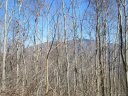 00 Bear Ridge Road sold home in Bakersville, SC