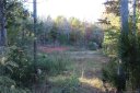 4300 Oldstone Forest Drive sold home in Waxhaw, SC