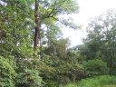00 Pinnacle Lane Lot 72 sold home in Union Mills, SC