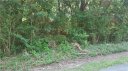 0 Randy Drive 40 sold home in Gastonia, SC